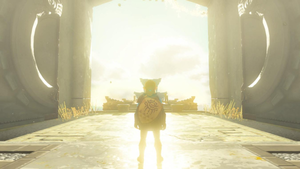 The Legend of Zelda: Tears of the Kingdom (Switch) фото