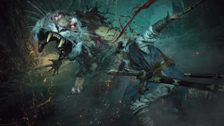 Wo Long: Fallen Dynasty (PS4) фото