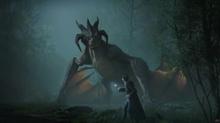 Hogwarts Legacy (PS5) фото